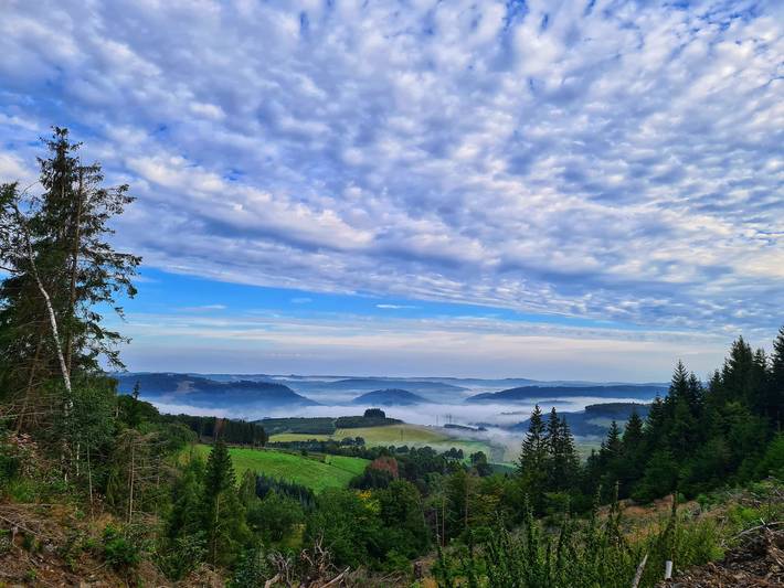 Ferienwohnung für 4 Personen, mit Balkon und Garten sowie Sauna im Sauerland - 3
