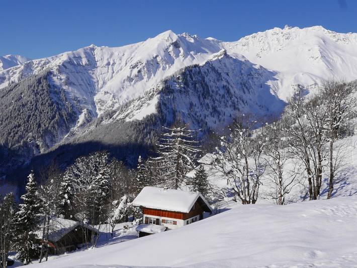 Ferienhaus Diggelmann - 5,5 - 7 Zimmer Ferienhaus Diggelmann in Matt, Glarus Süd