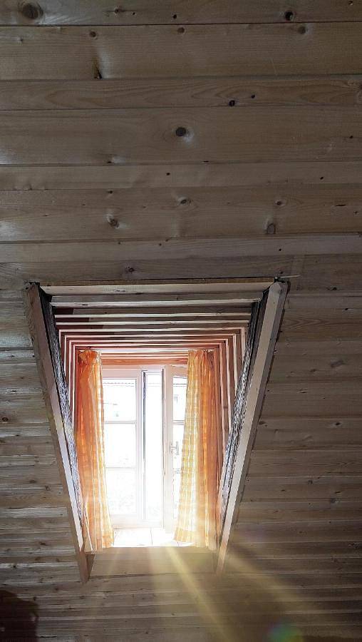 BnB für 5 Personen, mit Ausblick, mit Haustier am Forggensee - 4