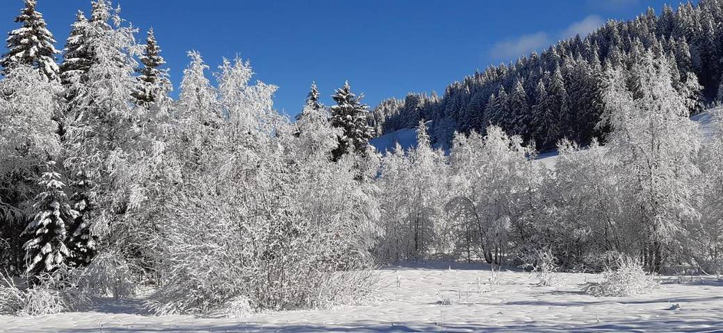 Gîte pour 4 personnes, avec jardin et vue à Lamoura - 3