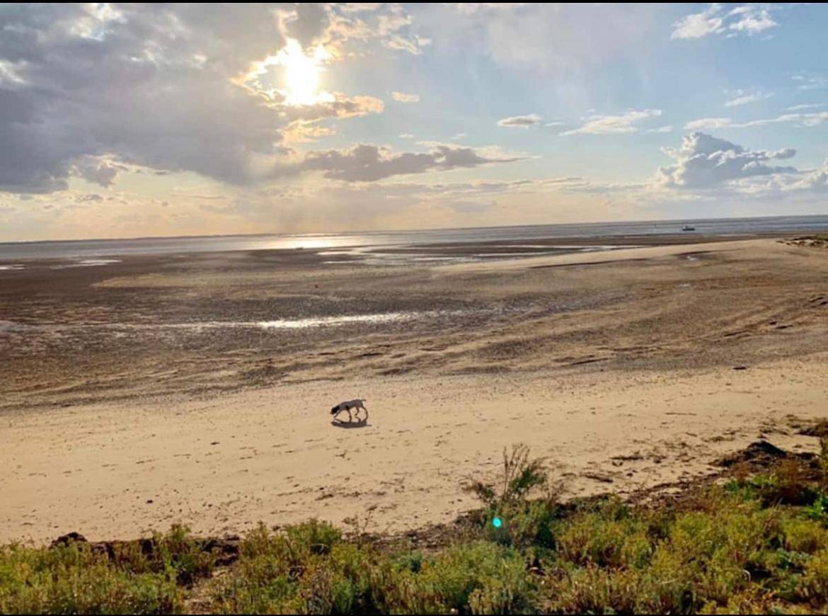 A unique, off-grid Eco Friendly Beach House. in Snettisham, Norfolk