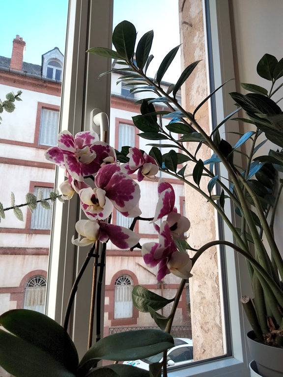 Chambre d’hôte pour 2 personnes dans l' Aveyron - 3