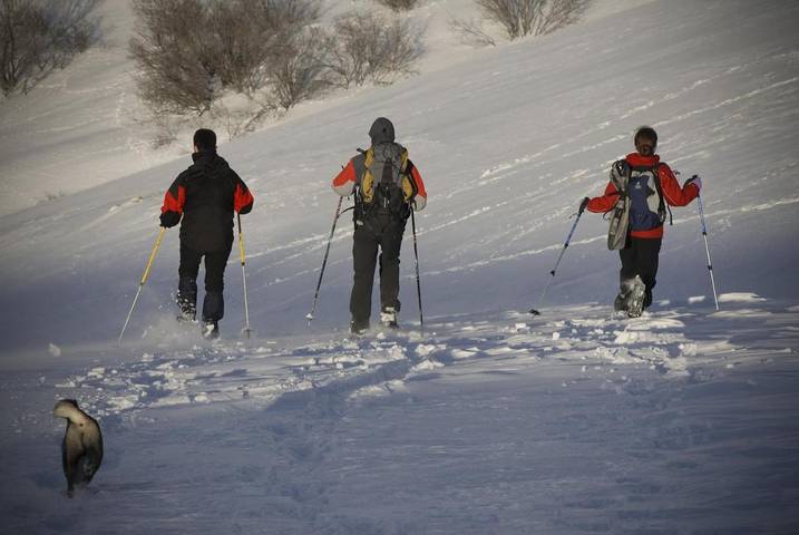 Maison de vacances pour 6 personnes, avec piscine et terrasse