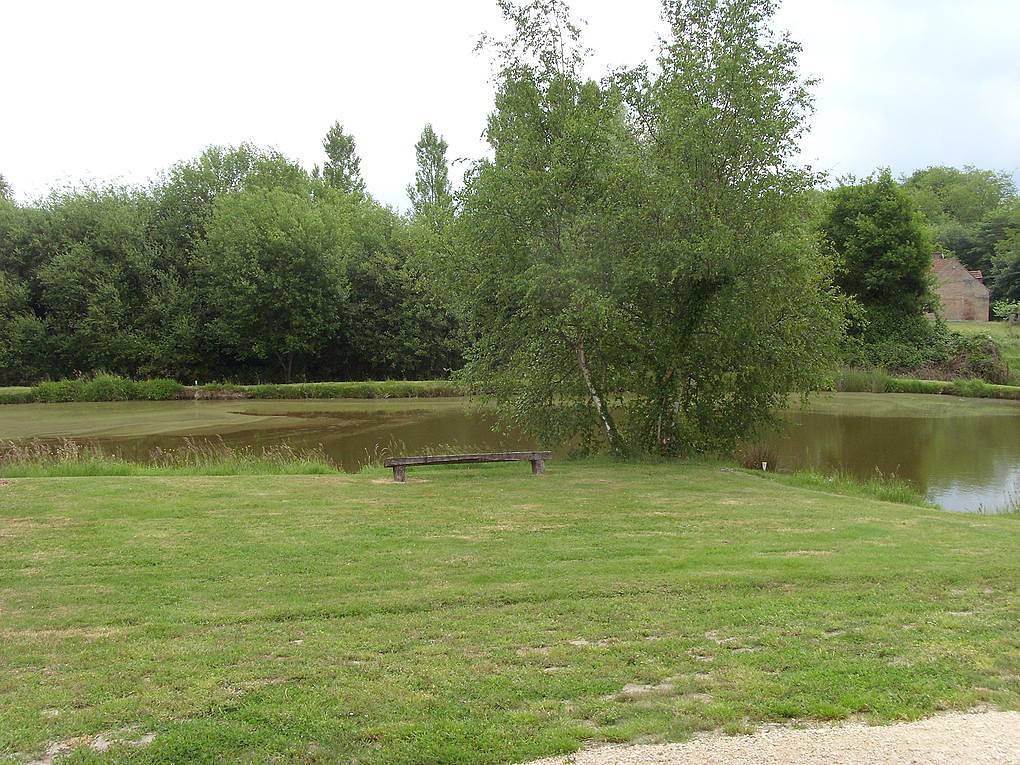 Gîte Les Pillodeaux in Saint-Viâtre, Sologne
