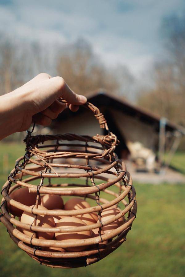 Tente pour 5 personnes, avec jardin et vue dans Loiret - 3