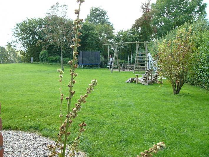 Seehof "Peerstall" in Warnow, Nordwestmecklenburg (Wismar und Umgebung)