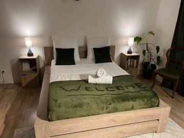 Gîte pour 8 personnes, avec terrasse, animaux acceptés à La Roche-de-Glun