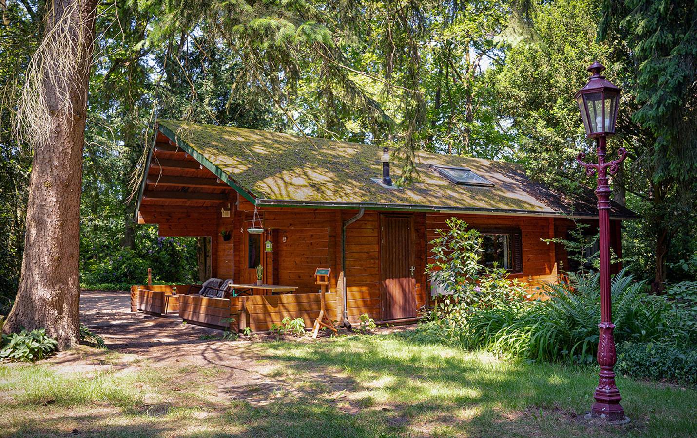 Gemütliches Ferienhaus für 4 Personen mit Veranda in der Nähe von Wäldern und Sanddünen in Soest (Niederlande), Utrecht und Umgebung