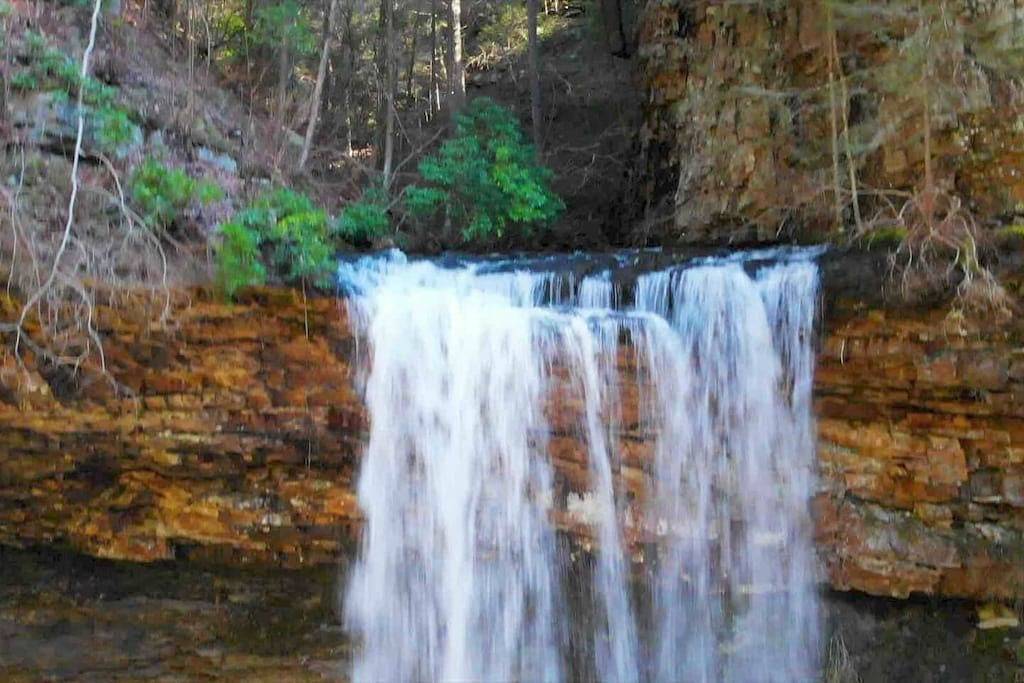 The Woods at The Retreat at Deer Lick Falls in Grundy County