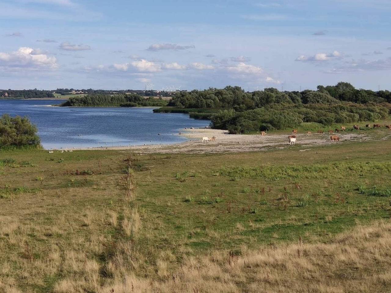 8 person feriebolig i Store Fuglede-By Traum in Bjerge, Kalundborg Kommune