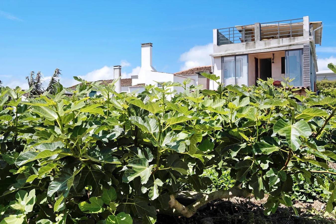 Geheel appartement, Kamer 'Lagoa' met Zeezicht, Privéterras en Wi-Fi in São Miguel Island, Lagoa (Azoren)