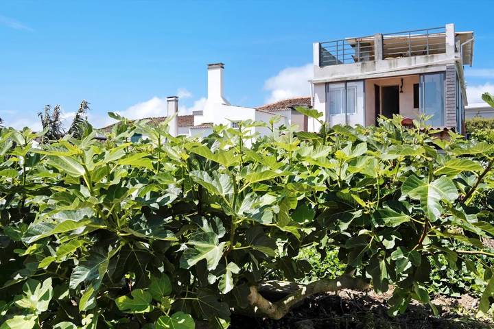 Entire apartment, Room in Santa Cruz, garden-view patio, Wi-Fi in São Miguel Island, Lagoa (Azores)