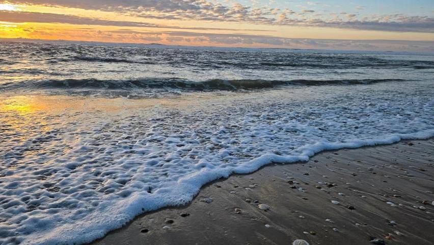 Chambre d’hôte pour 2 personnes, avec jardin et vue dans Biscarrosse (bourg)