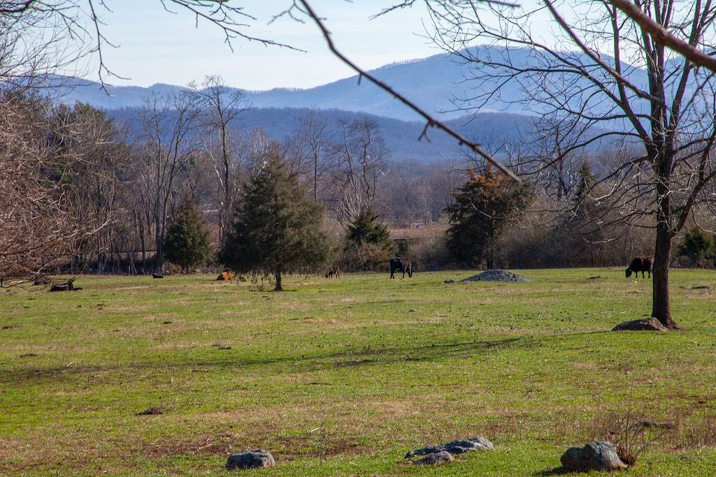 Birds and Bees Cottage in Shenandoah Nationalpark