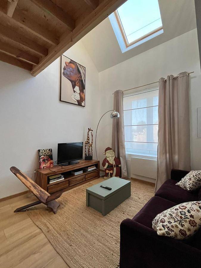 Location de vacances pour 6 personnes, avec jardin et terrasse dans Hasnon - 2