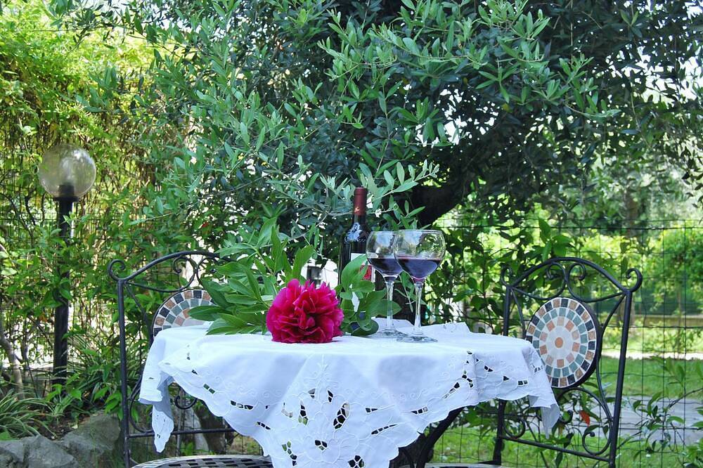 Ganze Wohnung, Studio apartment near the sea, with garden and private parking \" The Seagull\" in Fiumaretta di Ameglia, Ameglia Gemeinde