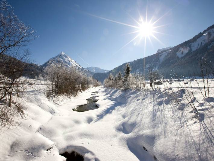 Ferienwohnung für 3 Personen, mit Balkon und Ausblick in Schoppernau - 3
