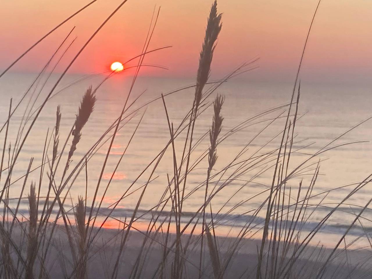 Ganze Ferienwohnung, Appartement Sölring 02 in Westerland, Sylt (Gemeinde)