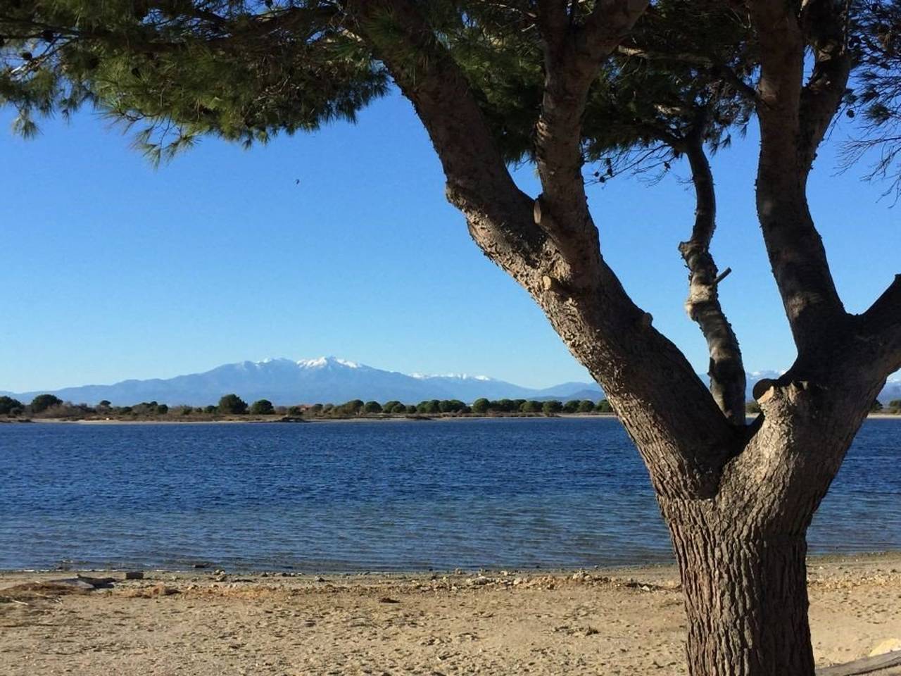 Appartement entier, Appartement climatisé 4 pers, vue Lac, parking inclus in Port Leucate, Leucate