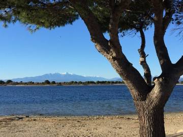 Appartement De Vacances pour 4 Personnes dans Port Leucate, Leucate, Photo 3