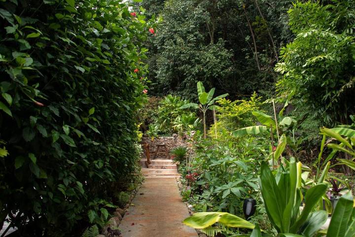 Gîte pour 4 personnes, avec jardin et vue dans Mo'orea - 4