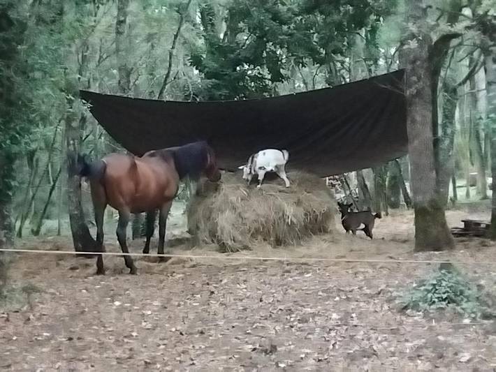 Gîte pour 3 personnes, avec vue ainsi que terrasse et piscine à Saint-Aubin-de-Nabirat