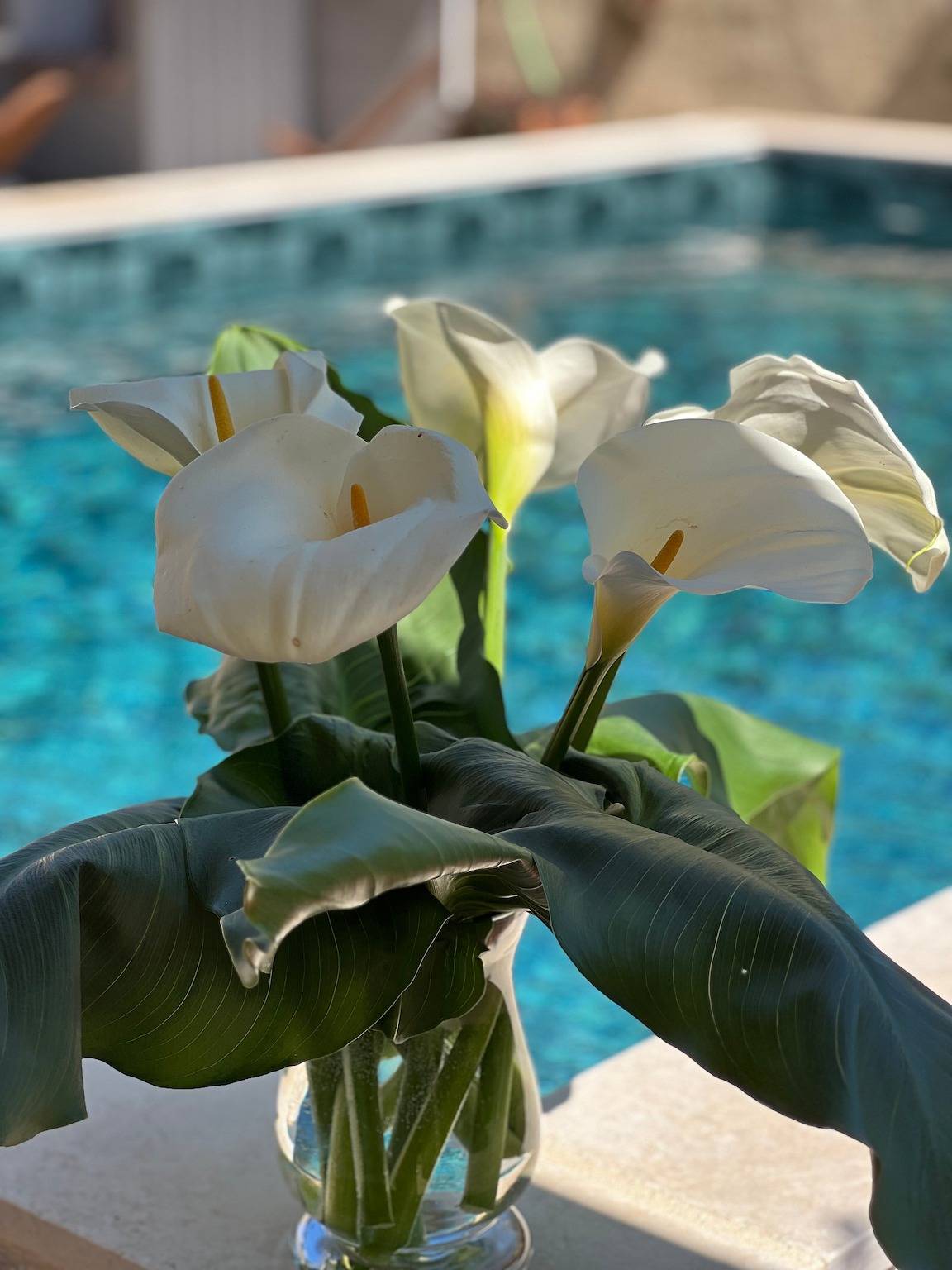 Pequeño paraíso en el Périgord con spa y huerto in Montrem, Périgord Blanc