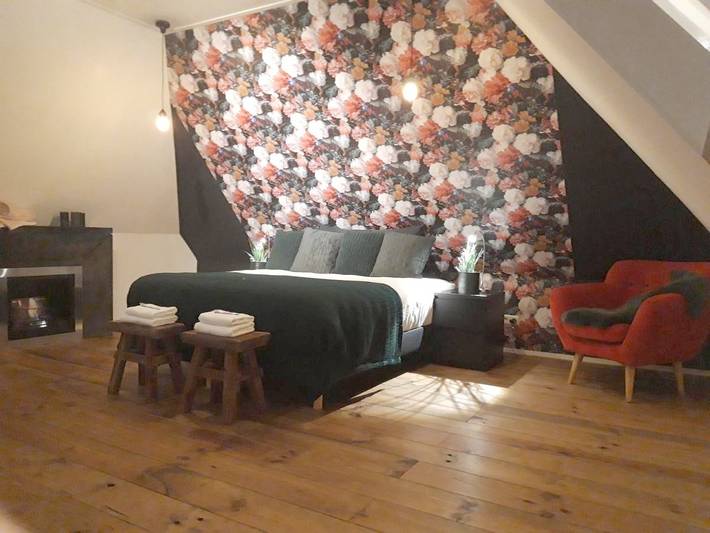 B&b für 4 Personen, mit Whirlpool und Terrasse sowie Garten und Pool in Groningen - 3