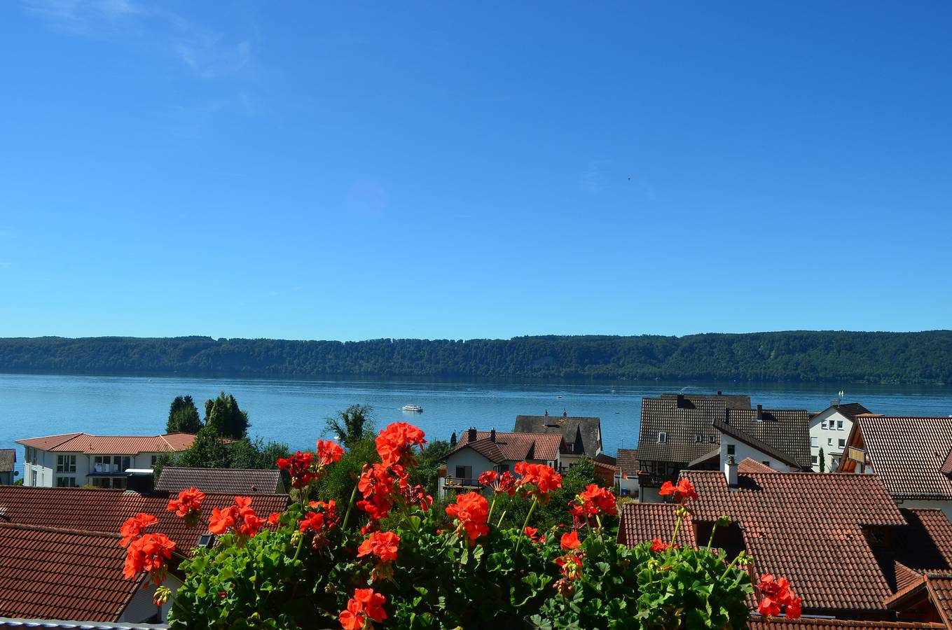 Pension Regenscheit - Einzelzimmer Kategorie B mit Dusche und Wc in Sipplingen, Region Bodensee-Oberschwaben