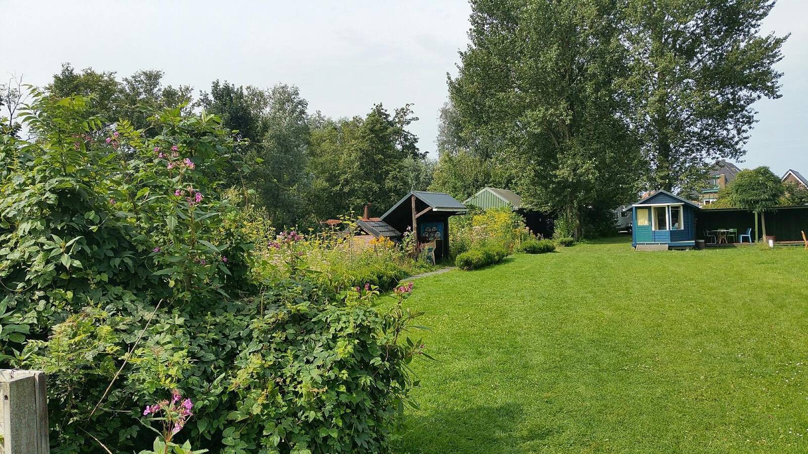 Boetiekpark de Kas — Blockhaus 4 Pers. in Nationalpark Weerribben-Wieden