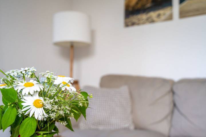 Ferienwohnung für 4 Personen, mit Garten, mit Haustier auf Föhr - 4