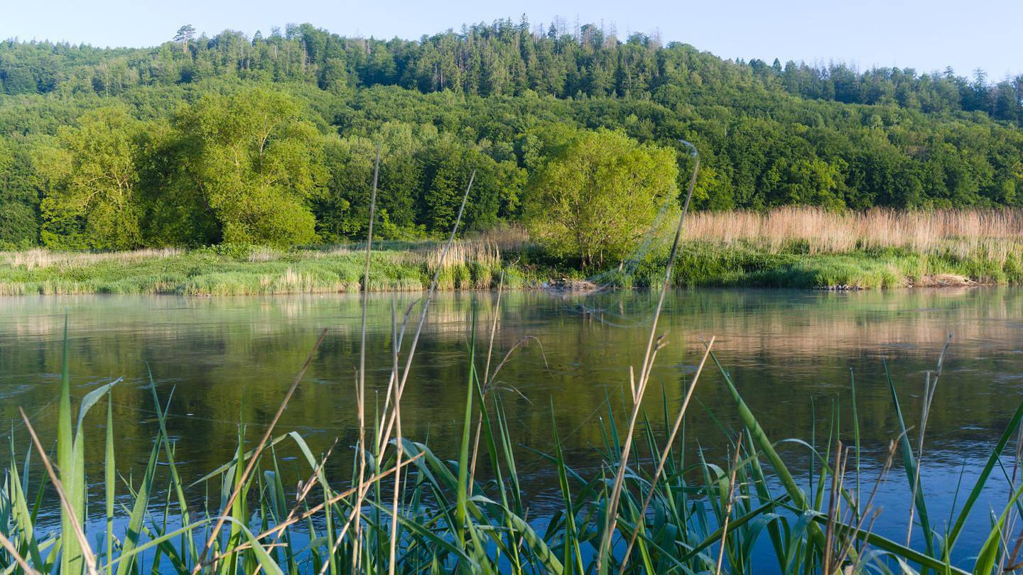 Ganze Ferienwohnung, Ferienwohnung Reinette in Wahlsburg, Hessisches Bergland