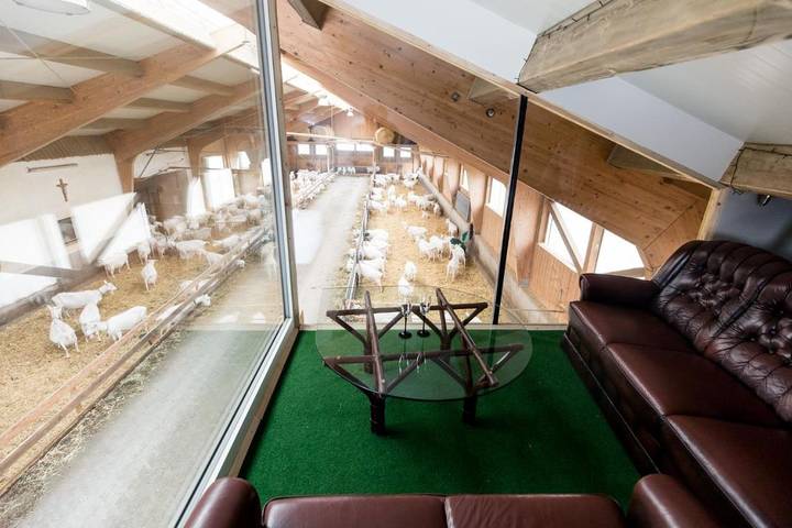 Gîte pour 2 personnes, avec vue et jardin, animaux acceptés à Schlierbach - 2