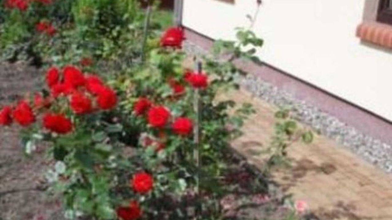 Ferienhaus für 4 Personen (70 m²) in Reimershagen in Güstrow - Umland, Mecklenburgische Seenplatte