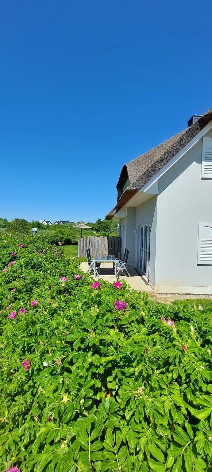 Zwisch. Boltenhagen und Pötenitz Ostseeurlaub bis 6 Pers. "Alte Liebe"Haus B in Barendorf, Dassow
