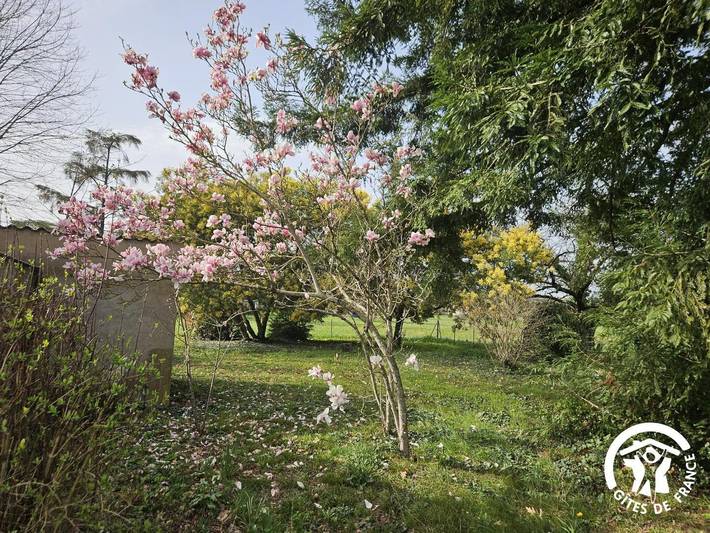 Gîte pour 4 personnes, avec terrasse à Albi - 2