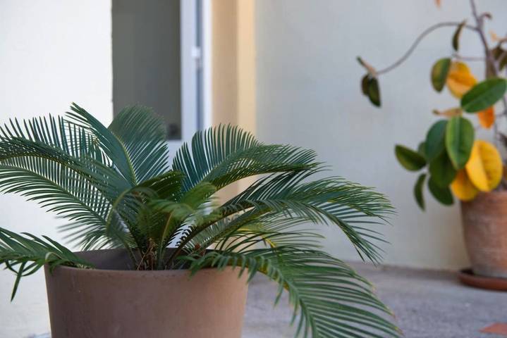 Casa rural para 12 personas, con piscina además de jardín y vistas, Se admiten mascotas en Campo de Turia - 3