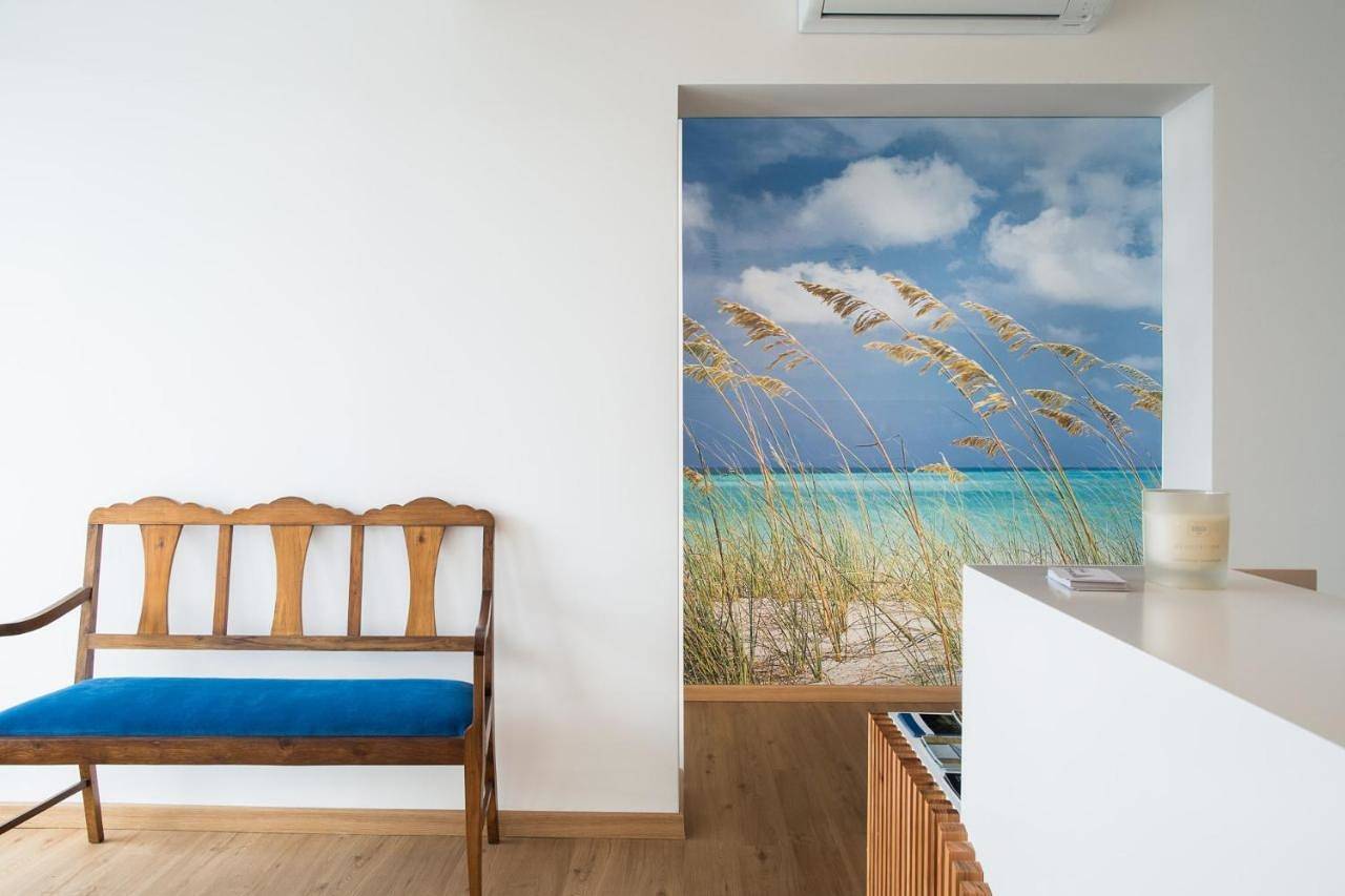 Bunk Bed in Male Dormitory Room in Praia da Vitória, Terceira