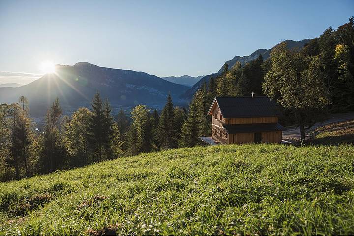 Ferienhaus für 6 Personen, mit Garten und Sauna sowie Terrasse, kinderfreundlich in Bad Goisern am Hallstättersee - 4
