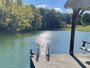 Lake House for 9 Guests in Norris Lake, Tennessee, Picture 2