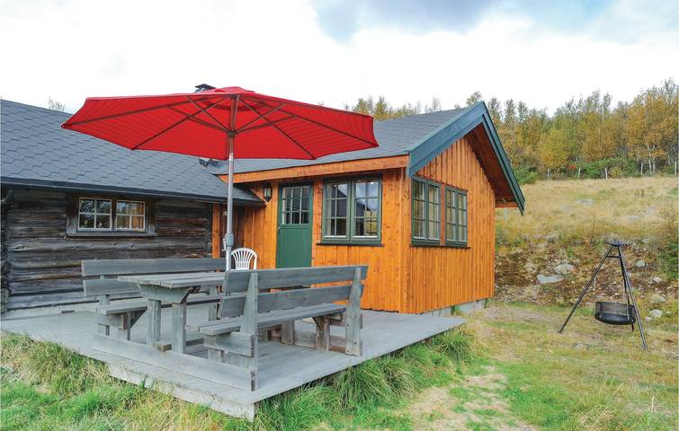 Ferienhaus für 9 Personen mit Terrasse in Hol