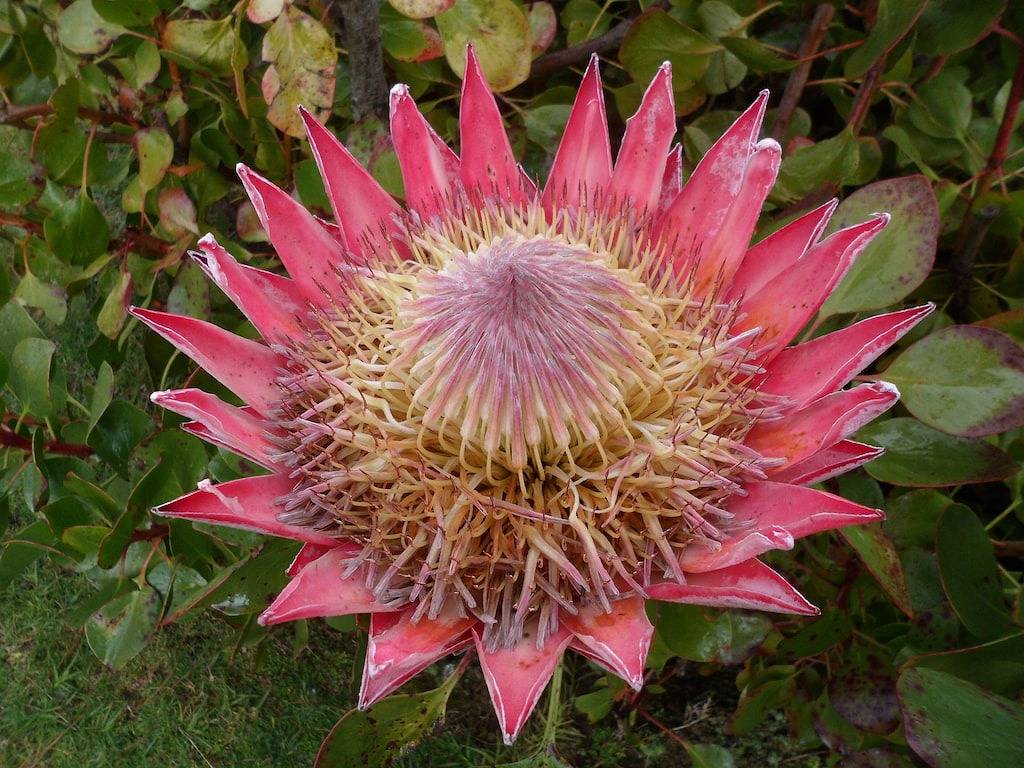 Valley View Nature Retreat in Skenes Creek, Colac Otway Shire