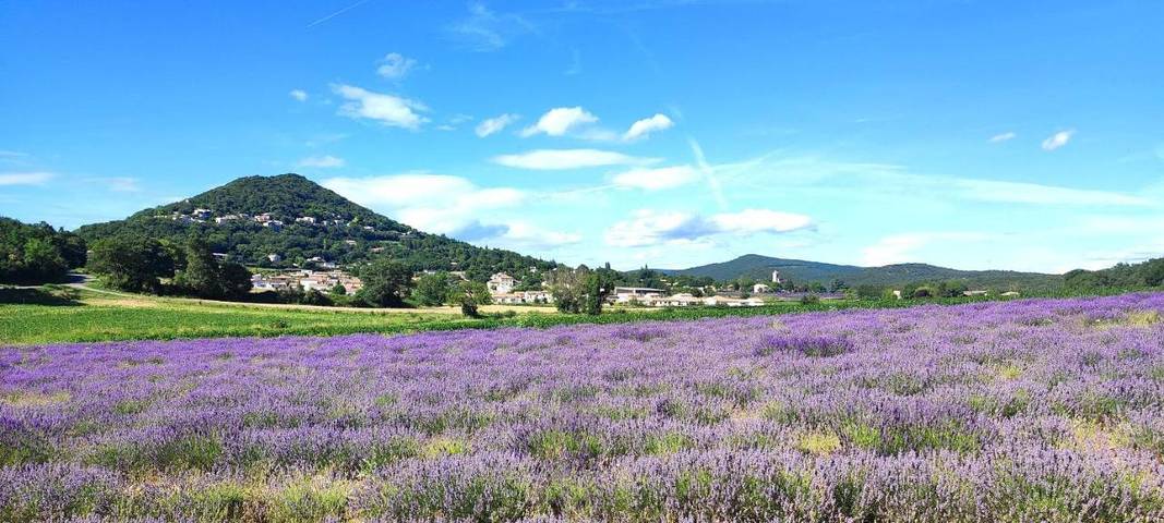 Location de vacances pour 10 personnes, avec vue et jardin, animaux acceptés à Montélimar - 2