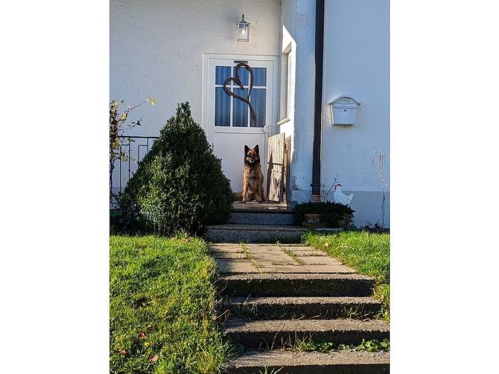 Ferienhaus für 2 Personen, mit Terrasse und Garten, mit Haustier - 1