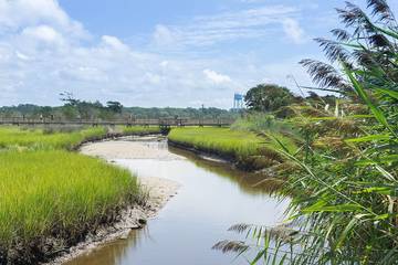Vacation House for 6 Guests in Oak Island (NC), Brunswick County, Picture 3