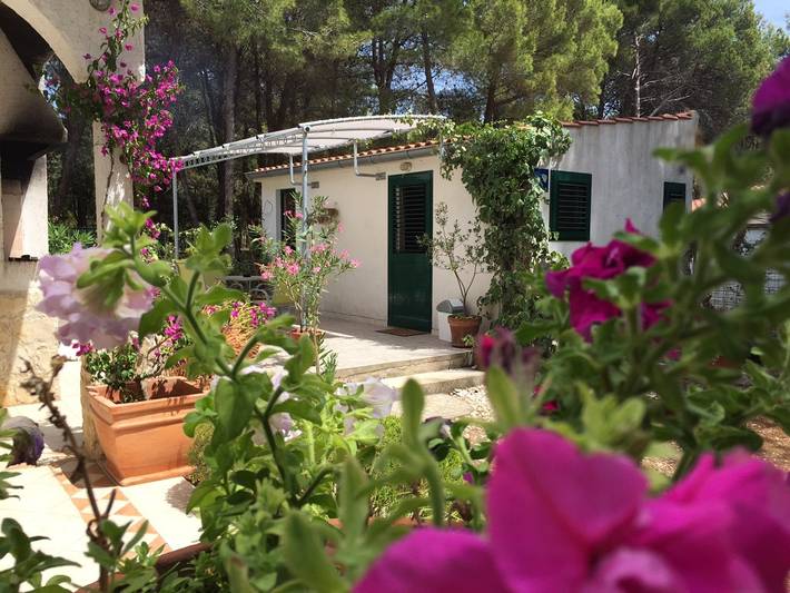 Ganzes Studio, Studioapartment in Veli Rat mit Meerblick, Balkon, Waschmaschine (882-1) in Veli Rat, Dugi Otok