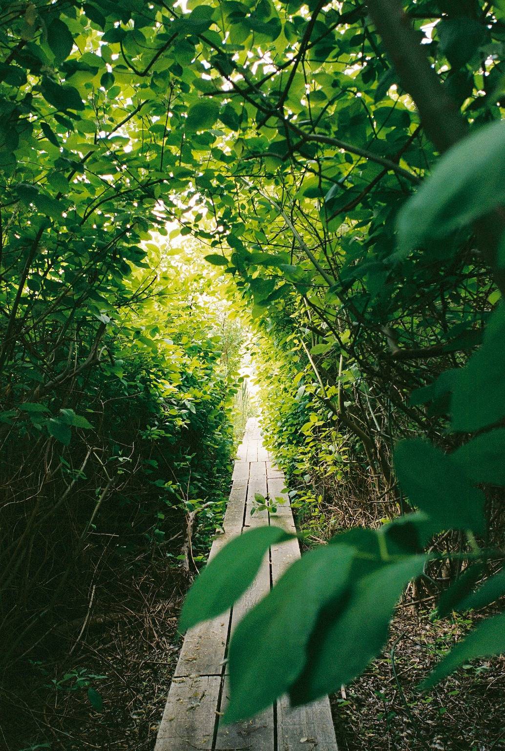Ganze Wohnung, Studio mit Balkon am Mühlenberg Werder in Plötzin, Werder