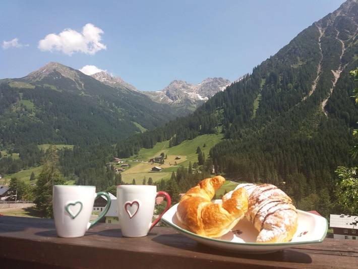 Ganze Ferienwohnung, Apartment/Wohn-Schlafraum/Du, Wc, Nr. 6 in Mittelberg, Kleinwalsertal