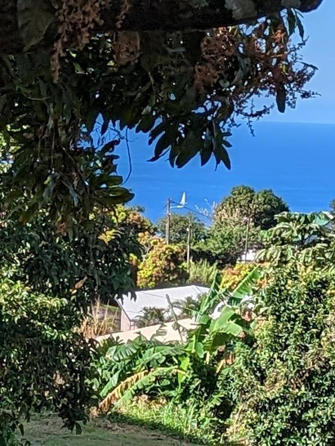Location de vacances pour 4 personnes, avec jacuzzi ainsi que terrasse et jardin à Le Morne-Vert - 3