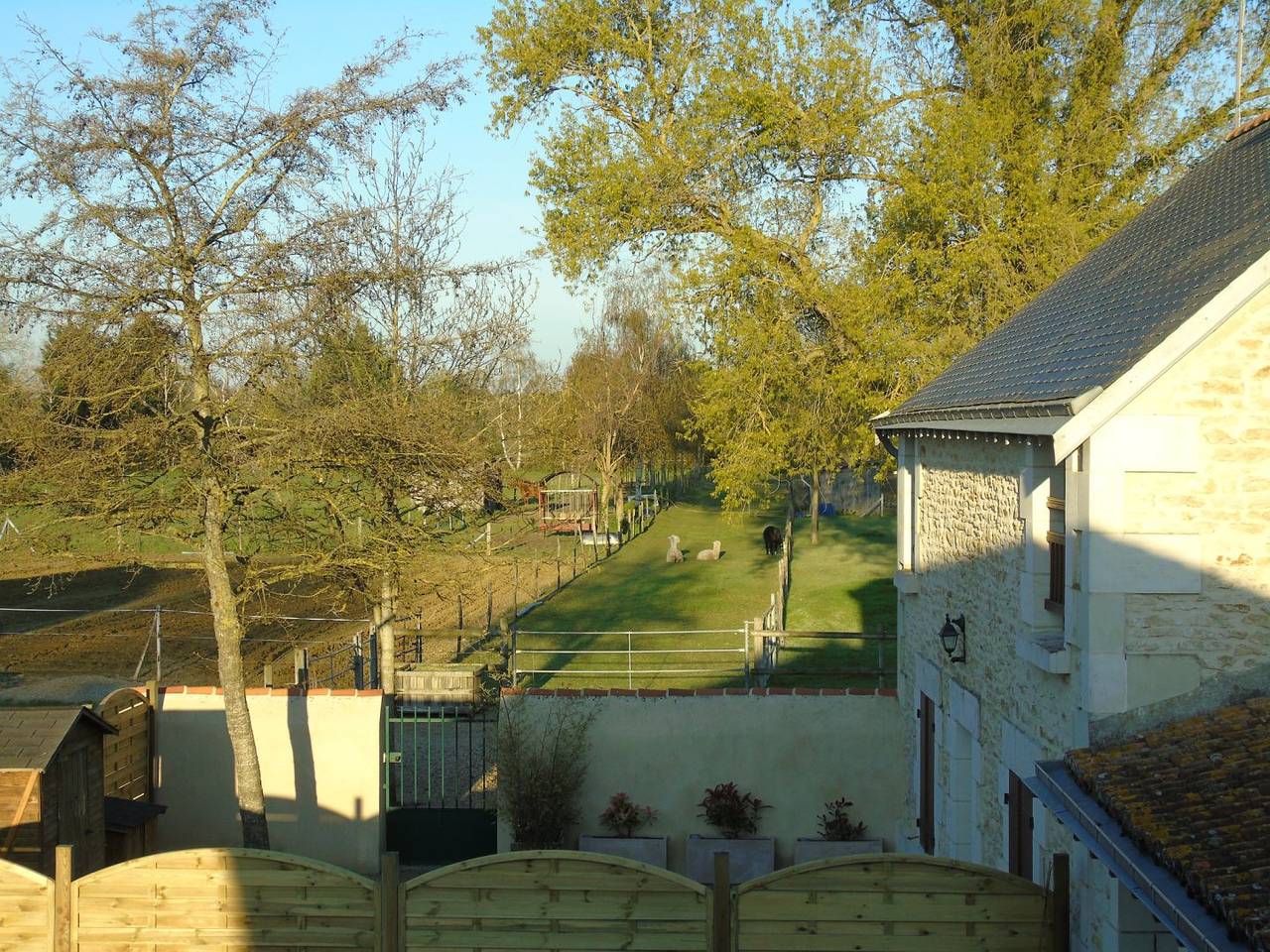 Côté Cour - La Ferme du Bellay en Anjou, près de Saumur in Montreuil-Bellay, Vallée de la Loire